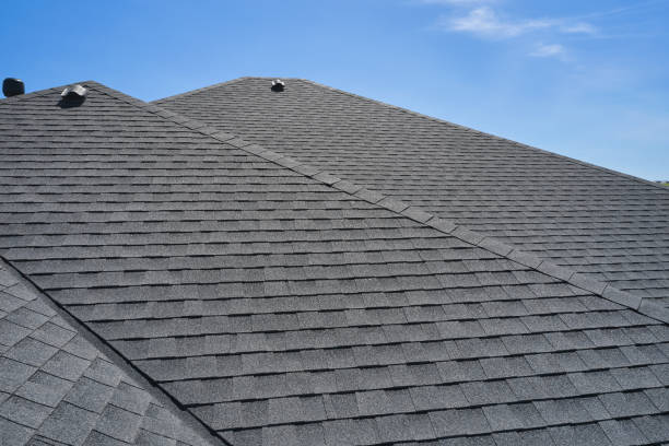 Best Skylight Installation and Repair  in Wenonah, NJ
