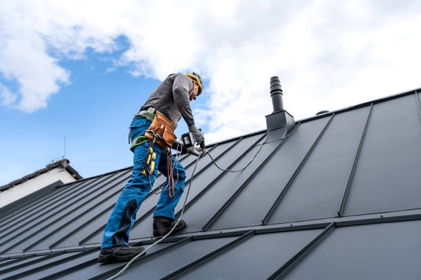 Best Sheet Metal Roofing  in Wenonah, NJ